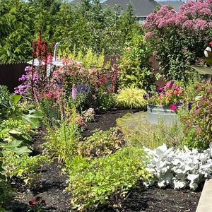 Meet your Posher, Nancy